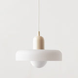 Load image into Gallery viewer, Modern Colorful Glass Shade Pendant Light